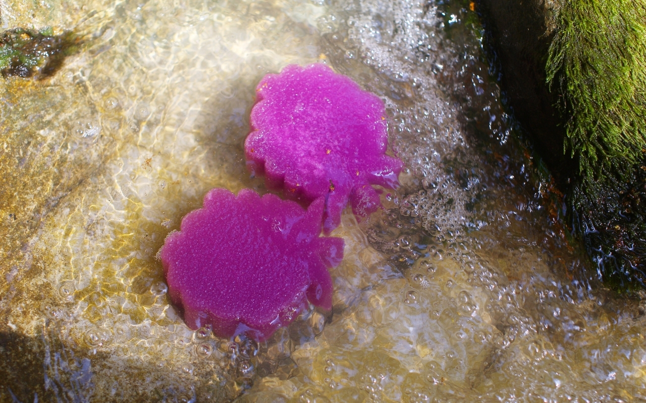 Mr. Mattress Aero M фото 4